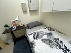 East Meadows (D16), Condominium #508441991